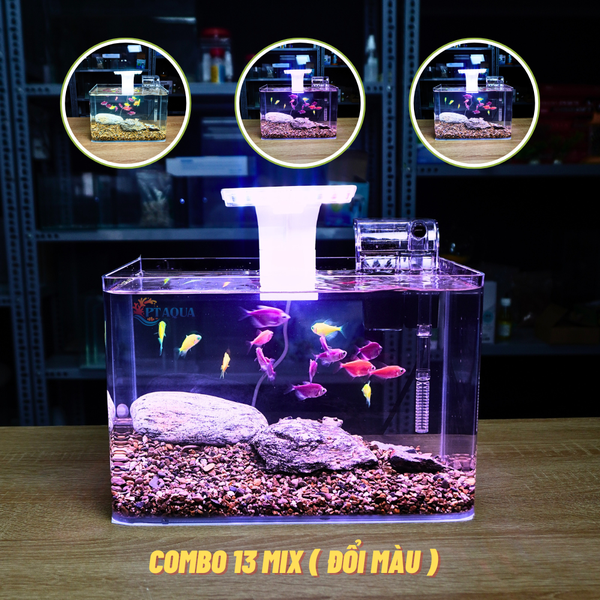 Bể Cá Mini Để Bàn ĐÚC SIÊU TRONG 25x16x18cm Phù Hợp Nuôi Cá , Làm Hồ Thuỷ Sinh Mini