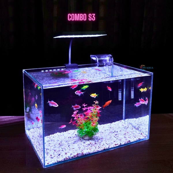 Bể cá mini để bàn D40*R25*C25 phù hợp nuôi cá cảnh mini thủy sinh phong thủy