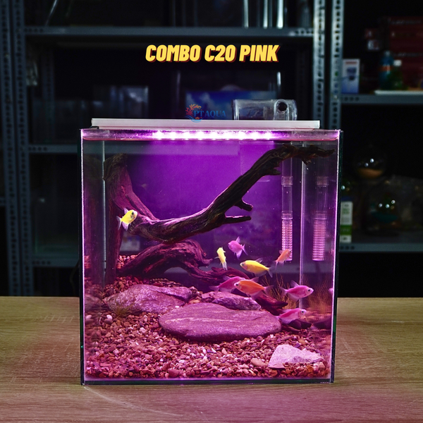 Bể cá mini CUBIC 25cm để bàn