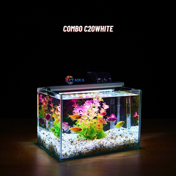 Bể cá mini để bàn 22x15x15cm CHỌN MẪU với nhiều mầu có kèm phụ kiện