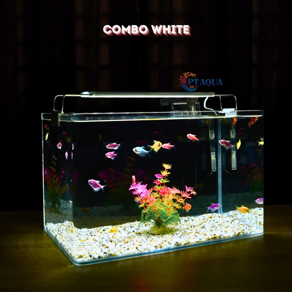 Bể cá mini Đúc uốn cong 35x21x23cm để bàn Với nhiều mẫu lựa chọn có kèm phụ kiện sỏi nền và cây nhựa
