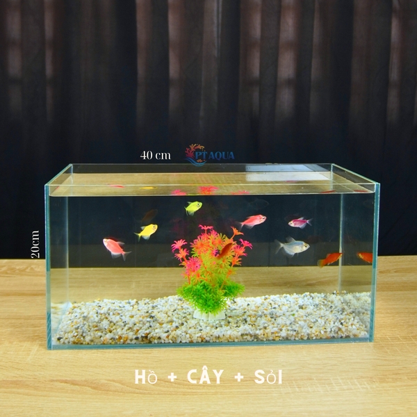 Bể cá mini 40x20x20cm Nhiều Mẫu Để Bàn Đẹp Phù Hợp Nuôi Cá Cảnh Nhỏ