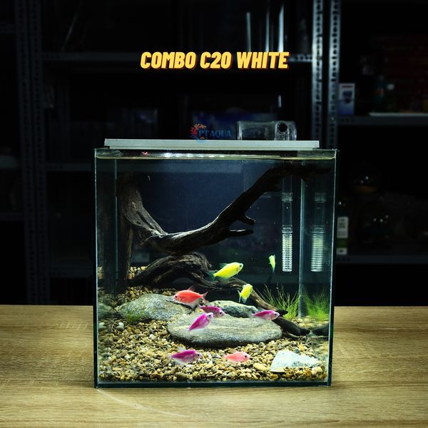 Bể cá mini CUBIC 25cm để bàn