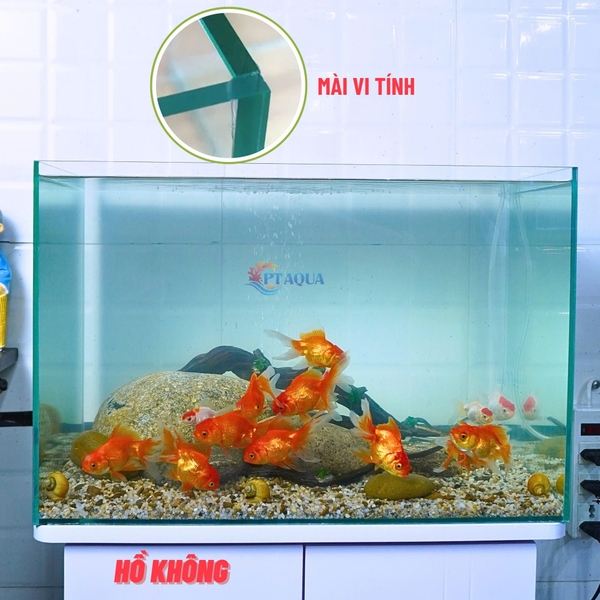 Bể Cá Mini Để Bàn 50cm Nhiều Mẫu Combo Phù Hợp Nuôi Cá Cảnh hoặc Làm Hồ Thuỷ Sinh