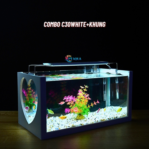 Bể cá mini 40cm COMBO đầy đủ CHỌN MẪU phù hợp nuôi cá cảnh mini để bàn