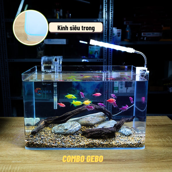 Bể Cá Mini Để Bàn ĐÚC SIÊU TRONG 35x21x23cm Phù Hợp Nuôi Cá , Làm Hồ Thuỷ Sinh Mini