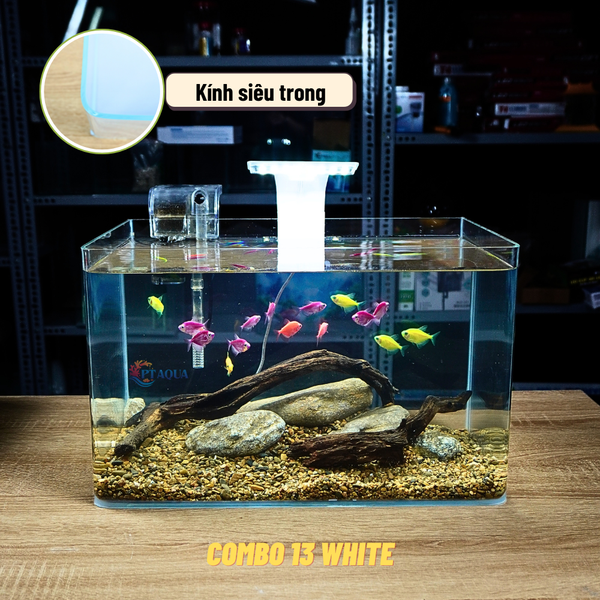 Bể Cá Mini Để Bàn ĐÚC SIÊU TRONG 40x24x25cm Phù Hợp Nuôi Cá , Làm Hồ Thuỷ Sinh Mini