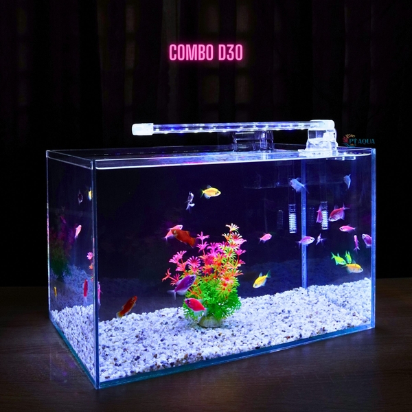 Bể cá mini để bàn D40*R25*C25 phù hợp nuôi cá cảnh mini thủy sinh phong thủy