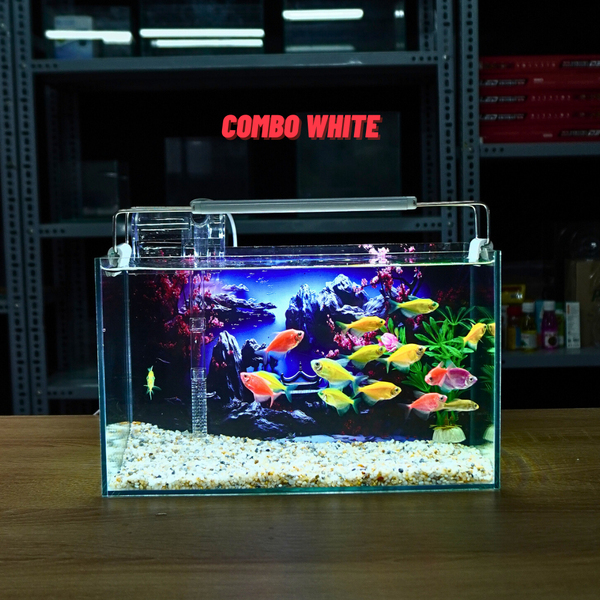Bể Cá Mini Để Bàn Dán Sẵn Tranh Kích Thước 30x15x18cm Phù Hợp Nuôi Cá Cảnh Mini Để Bàn