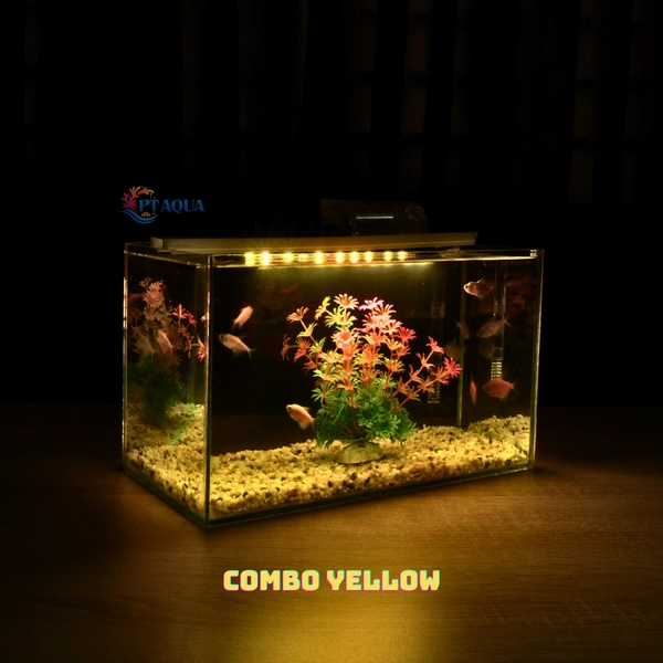Bể cá mini để bàn COMBO Chọn mẫu 30x15x18cm để bàn nhỏ gọn phù hợp nuôi cá cảnh mini