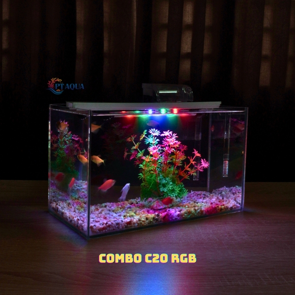 Bể Cá Mini Mài Cạnh Vi Tính Kích Thước 30x15x18cm - Thích Hợp Nuôi Cá Cảnh Để Bàn