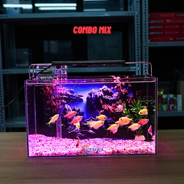 Bể Cá Mini Để Bàn Dán Sẵn Tranh Kích Thước 30x15x18cm Phù Hợp Nuôi Cá Cảnh Mini Để Bàn