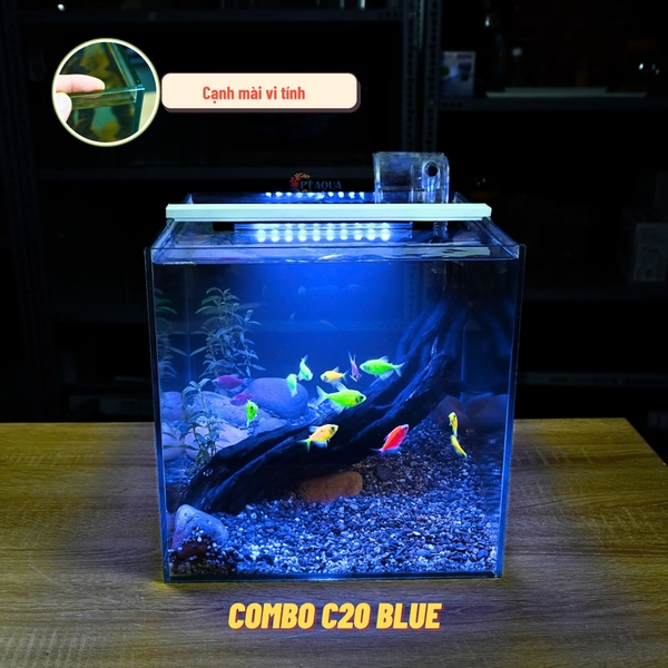 Bể Cá Mini Để Bàn CUBIC 30CM Nhiều Mẫu Phù Hợp Nuôi Cá Để Bàn , Làm Hồ Thuỷ Sinh