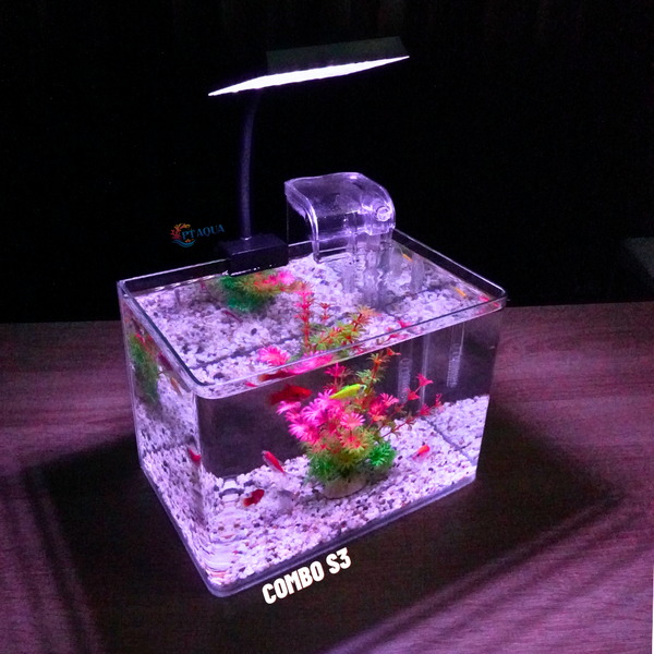 Bể cá mini Đúc uốn cong 25x16x18cm để bàn Với nhiều mẫu lựa chọn có kèm phụ kiện sỏi nền và cây nhựa