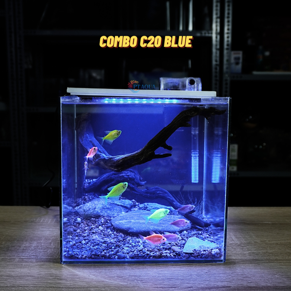 Bể cá mini CUBIC 25cm để bàn