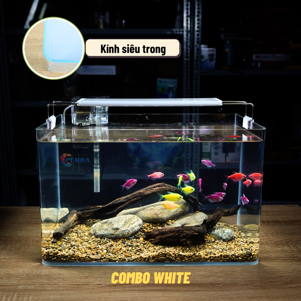 Bể Cá Mini Để Bàn ĐÚC SIÊU TRONG 35x21x23cm Phù Hợp Nuôi Cá , Làm Hồ Thuỷ Sinh Mini