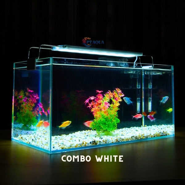 Bể cá mini 40x20x20cm Nhiều Mẫu Để Bàn Đẹp Phù Hợp Nuôi Cá Cảnh Nhỏ