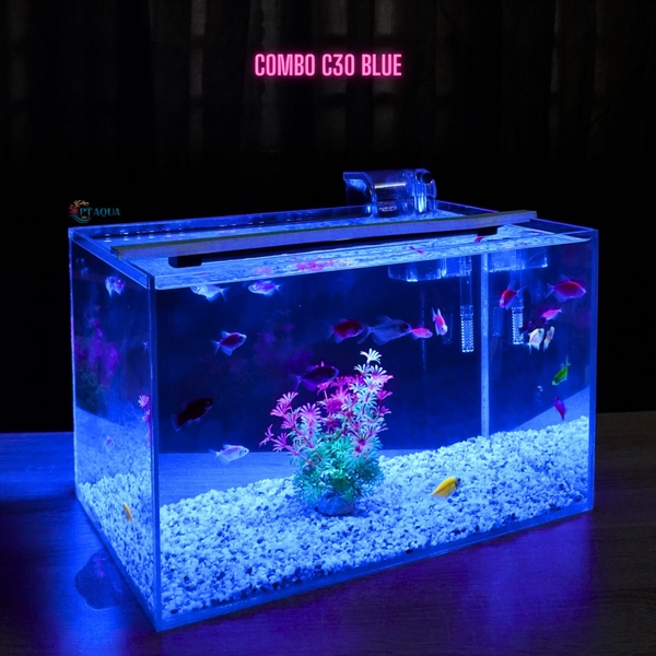Bể cá mini để bàn D40*R25*C25 phù hợp nuôi cá cảnh mini thủy sinh phong thủy