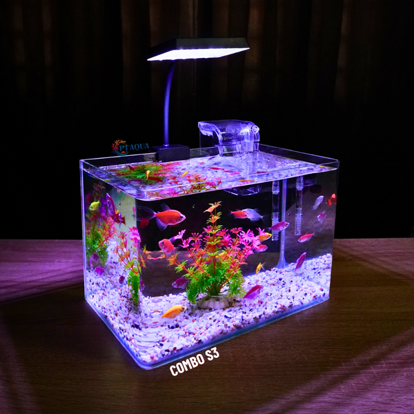 Bể cá mini Đúc uốn cong 30x18x20cm để bàn Với nhiều mẫu lựa chọn có kèm phụ kiện sỏi nền và cây nhựa