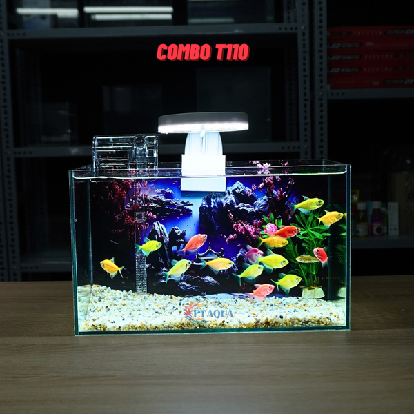 Bể Cá Mini Để Bàn Dán Sẵn Tranh Kích Thước 30x15x18cm Phù Hợp Nuôi Cá Cảnh Mini Để Bàn