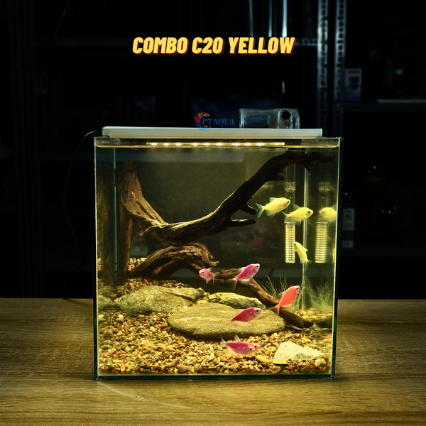 Bể cá mini CUBIC 25cm để bàn