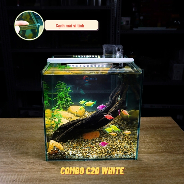 Bể Cá Mini Để Bàn CUBIC 30CM Nhiều Mẫu Phù Hợp Nuôi Cá Để Bàn , Làm Hồ Thuỷ Sinh