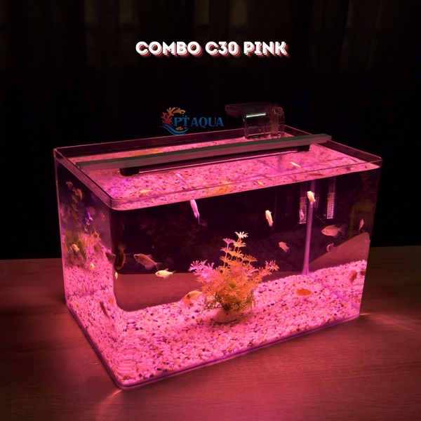Bể cá mini Đúc uốn cong 35x21x23cm để bàn Với nhiều mẫu lựa chọn có kèm phụ kiện sỏi nền và cây nhựa