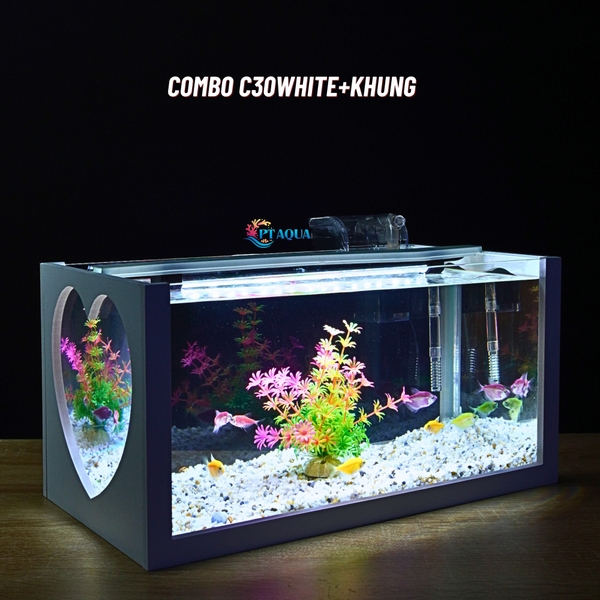 Bể cá mini để bàn 40x20x20cm nhiều mẫu phù hợp nuôi cá cảnh mini nhỏ nhỏ để bàn