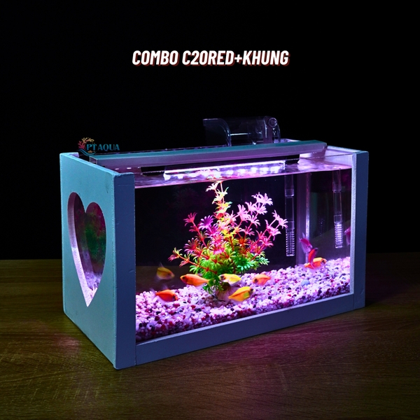 Bể cá mini để bàn COMBO giá rẻ đầy đủ phụ kiện