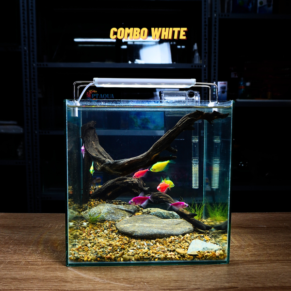 Bể cá mini CUBIC 25cm để bàn