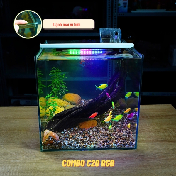Bể Cá Mini Để Bàn CUBIC 30CM Nhiều Mẫu Phù Hợp Nuôi Cá Để Bàn , Làm Hồ Thuỷ Sinh