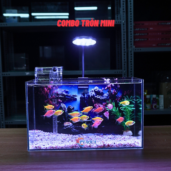 Bể Cá Mini Để Bàn Dán Sẵn Tranh Kích Thước 30x15x18cm Phù Hợp Nuôi Cá Cảnh Mini Để Bàn