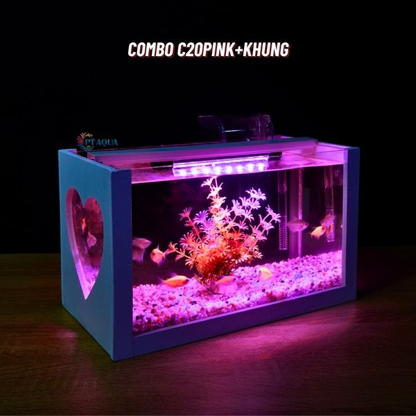 Bể cá mini để bàn COMBO Chọn mẫu 30x15x18cm để bàn nhỏ gọn phù hợp nuôi cá cảnh mini