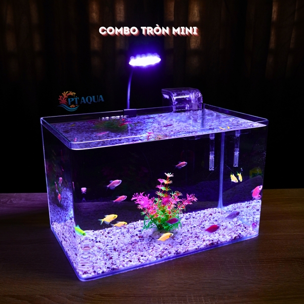 Bể cá mini Đúc uốn cong 35x21x23cm để bàn Với nhiều mẫu lựa chọn có kèm phụ kiện sỏi nền và cây nhựa