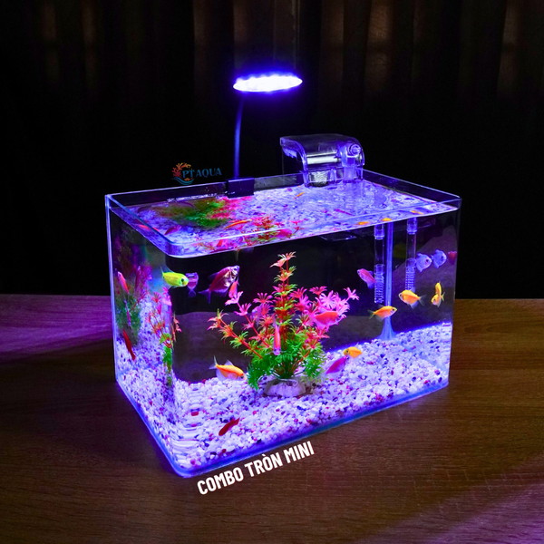 Bể cá mini Đúc uốn cong 30x18x20cm để bàn Với nhiều mẫu lựa chọn có kèm phụ kiện sỏi nền và cây nhựa