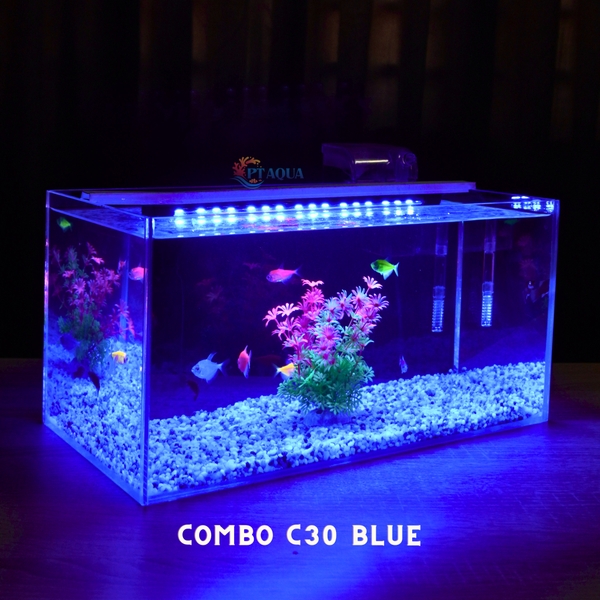 Bể cá mini 40x20x20cm Nhiều Mẫu Để Bàn Đẹp Phù Hợp Nuôi Cá Cảnh Nhỏ