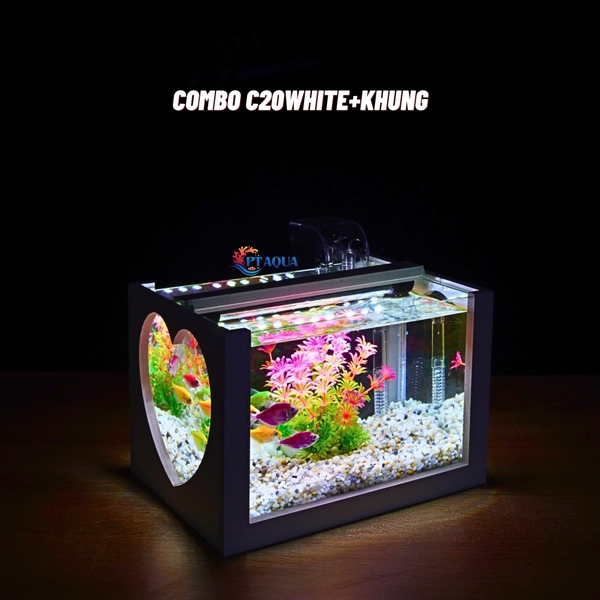 Bể cá mini để bàn 22x15x15cm CHỌN MẪU với nhiều mầu có kèm phụ kiện