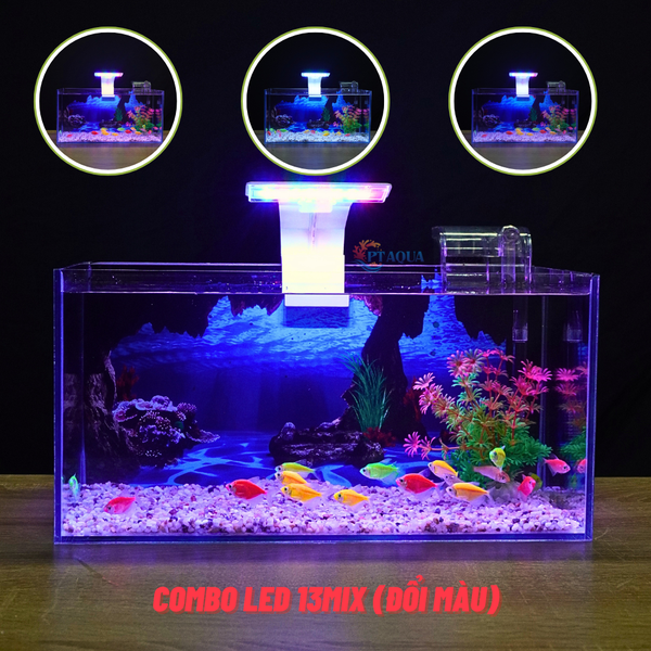 Bể cá Mini Để Bàn Có Tranh Dán  Kích Thước D40cm x R20cm x C20cm  Giúp Hồ Cá Đẹp Hơn
