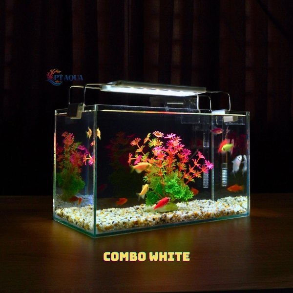 Bể Cá Mini Mài Cạnh Vi Tính Kích Thước 30x15x18cm - Thích Hợp Nuôi Cá Cảnh Để Bàn
