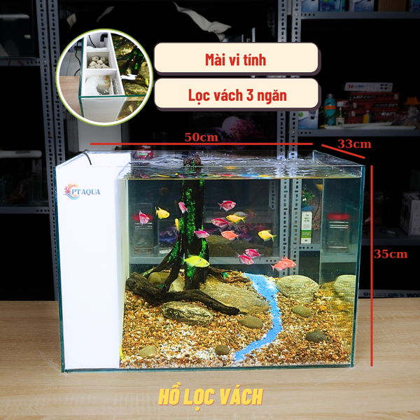 Bể Cá Mini Lọc Vách Kích Thước 50x33x35cm Để Bàn Đầy Đủ Phụ Kiện Có Sẵn Bơm và Vật Liệu Lọc