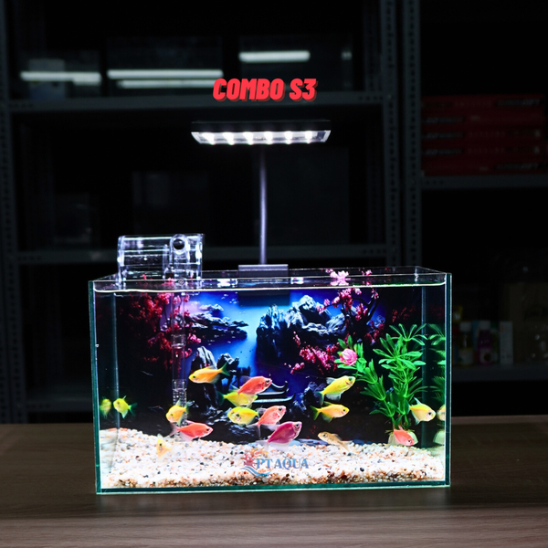 Bể Cá Mini Để Bàn Dán Sẵn Tranh Kích Thước 30x15x18cm Phù Hợp Nuôi Cá Cảnh Mini Để Bàn
