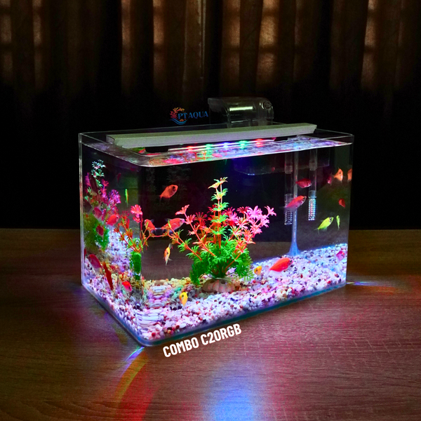 Bể cá mini Đúc uốn cong 30x18x20cm để bàn Với nhiều mẫu lựa chọn có kèm phụ kiện sỏi nền và cây nhựa