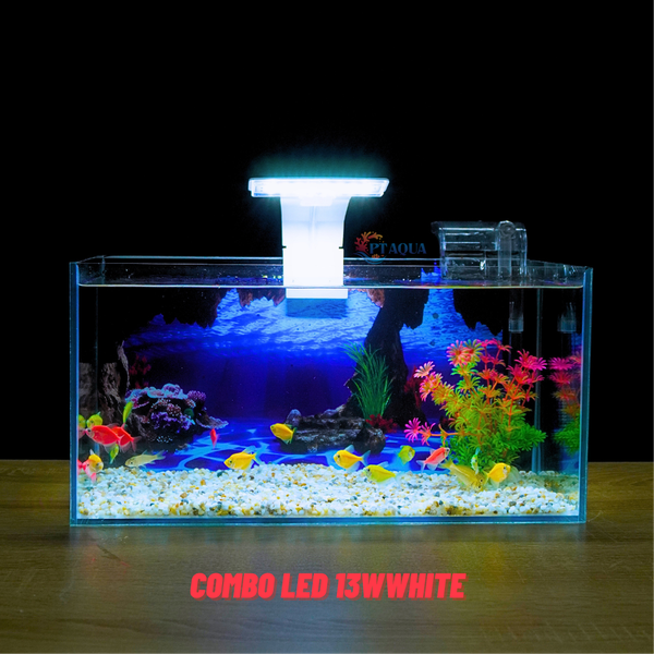 Bể cá Mini Để Bàn Có Tranh Dán  Kích Thước D40cm x R20cm x C20cm  Giúp Hồ Cá Đẹp Hơn