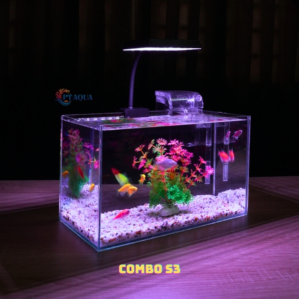 Bể Cá Mini Mài Cạnh Vi Tính Kích Thước 30x15x18cm - Thích Hợp Nuôi Cá Cảnh Để Bàn