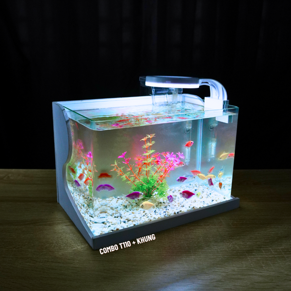 Bể cá mini Đúc uốn cong 30x18x20cm để bàn Với nhiều mẫu lựa chọn có kèm phụ kiện sỏi nền và cây nhựa