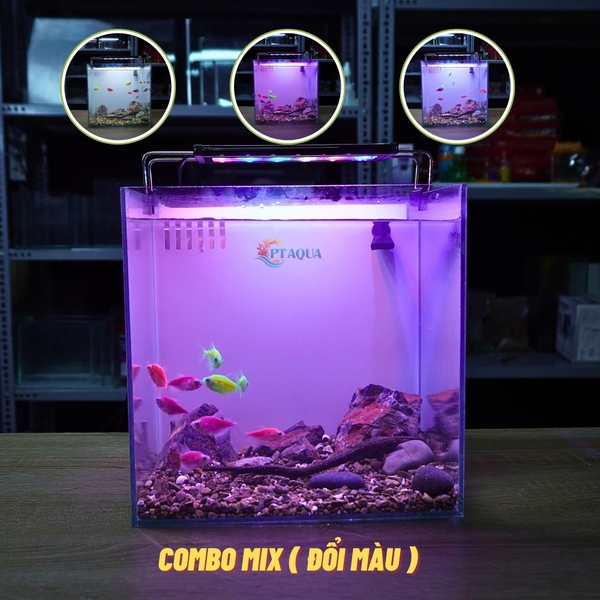 Bể Cá Mini Lọc Vách CUBIC 25 Để Bàn Đầy Đủ Phụ Kiện Có Sẵn Bơm và Vật Liệu Lọc