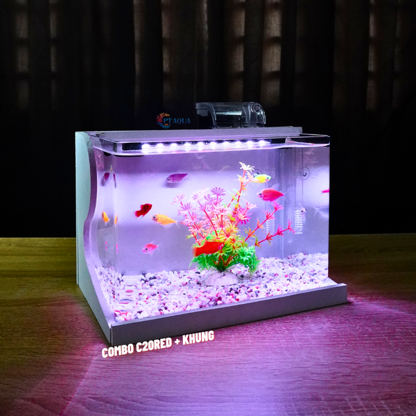 Bể cá mini Đúc uốn cong 25x16x18cm để bàn Với nhiều mẫu lựa chọn có kèm phụ kiện sỏi nền và cây nhựa