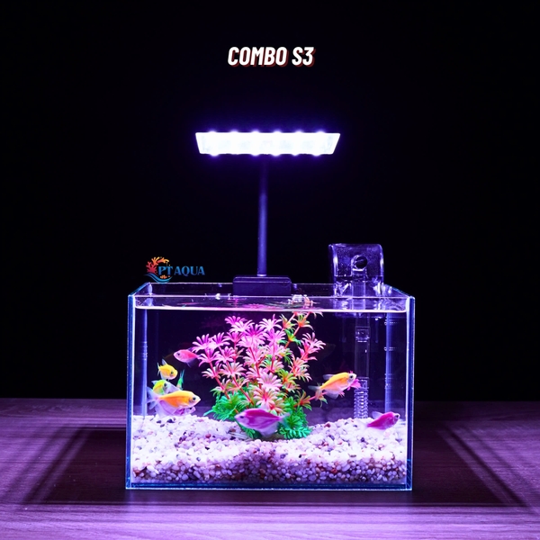 Bể cá mini để bàn 22x15x15cm CHỌN MẪU với nhiều mầu có kèm phụ kiện