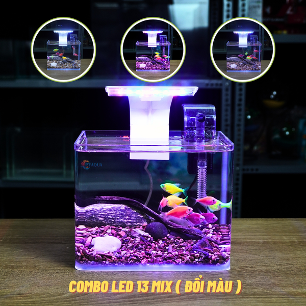 Bể Cá Mini KÍNH SIÊU TRONG Uốn 2 Cạnh Trước Kích Thước Từ 20cm đến 40cm
