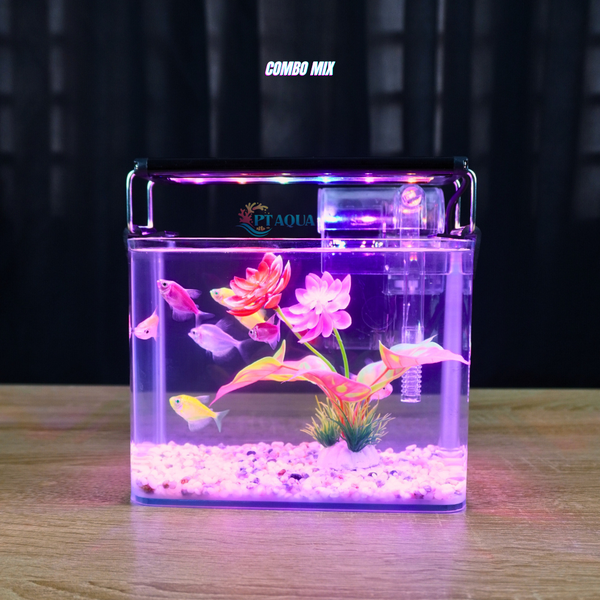 Bể cá mini Đúc uốn cong 20x14x16cm để bàn Với nhiều mẫu lựa chọn có kèm phụ kiện sỏi nền và cây nhựa